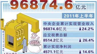收入证明范本_支出收入表格_央企营业收入